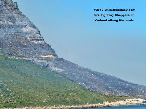 Spot the yellow chopper!