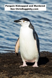p7-penguin-kidnapped-and-murdered-in-mannheim-see-17-feb-2017-blog-at-chrisdugglebydotcom