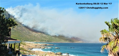 0 Hout Bay Burns See Photo Blog Article Sensational Images of Blazing Cape Town Mountain at ChrisDugglebydotcom DSCF3753 (2)