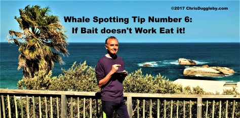 22-see-cape-town-whale-spotting-tips-from-blog-at-chrisdugglebydotcom-dscf2640-4