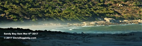 3-sandy-bay-gay-nudist-beach-cleared-of-smelly-whale-carcass-see-status-6th-march-2017-8am-blog-at-chrisdugglebydotcom-dscf3558-2