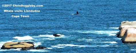 A little wave to your friends on the shore...