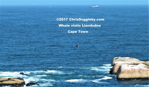 Just to size things up - compare Big Willy with the ship on the background