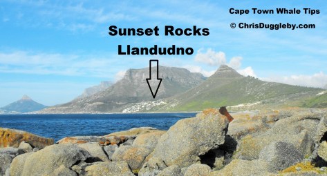Cape Town Whale Spotting Tips - Chose a remote location like Sunset Rocks
